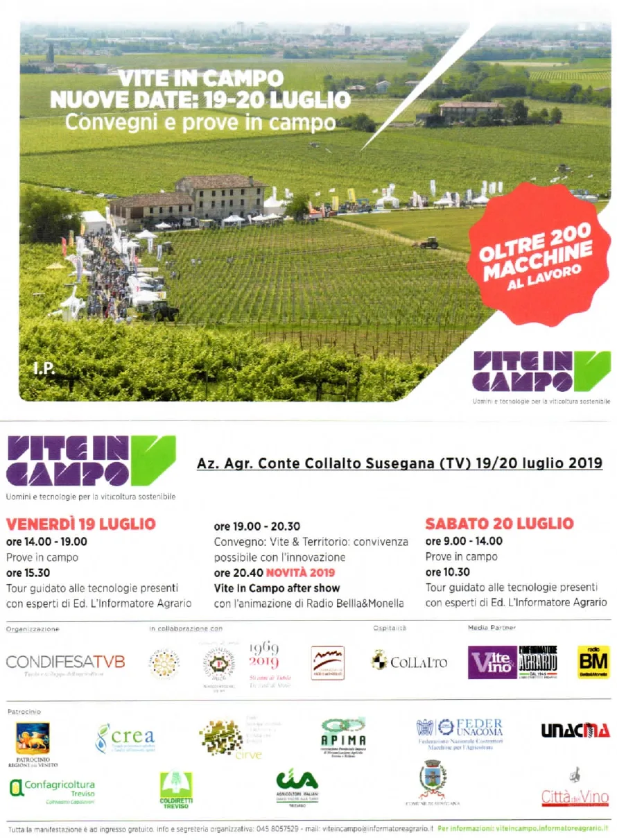 VITE IN CAMPO 19-20 LUGLIO 2019